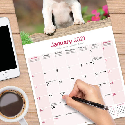 Avonside Boston Terrier Kalender 2027