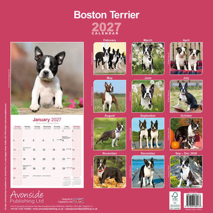 Avonside Boston Terrier Kalender 2027