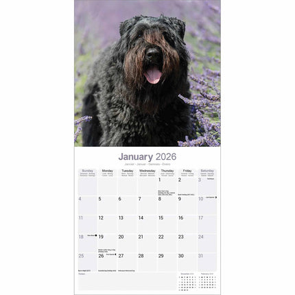 Avonside Bouvier Kalender 2026