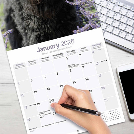 Avonside Bouvier Kalender 2026