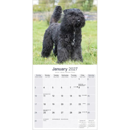 Avonside Bouvier Kalender 2027