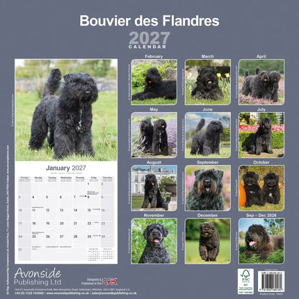 Avonside Bouvier Kalender 2027