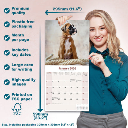 Avonside Boxer Kalender 2026