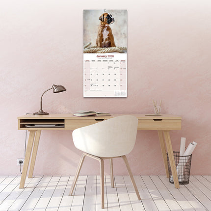 Avonside Boxer Kalender 2026