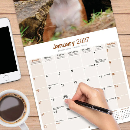 Avonside Boxer Kalender 2027