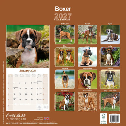 Avonside Boxer Kalender 2027