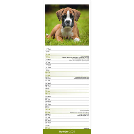 Avonside Boxer Kalender 2027 Slimline