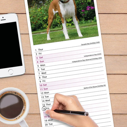 Avonside Boxer Kalender 2027 Slimline
