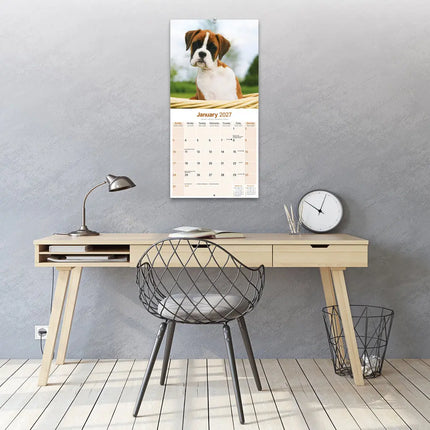 Avonside Boxer Puppies Kalender 2027