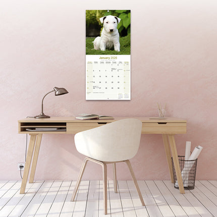 Avonside Bull Terrier Kalender 2026