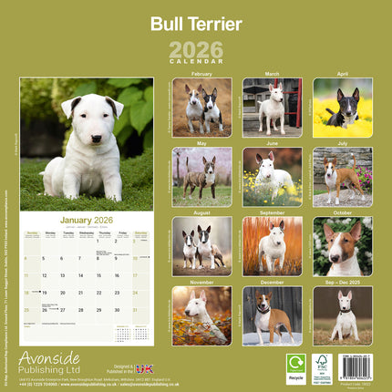Avonside Bull Terrier Kalender 2026