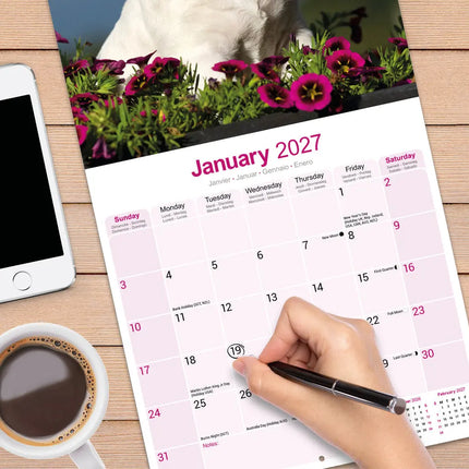 Avonside Bull Terrier Kalender 2027