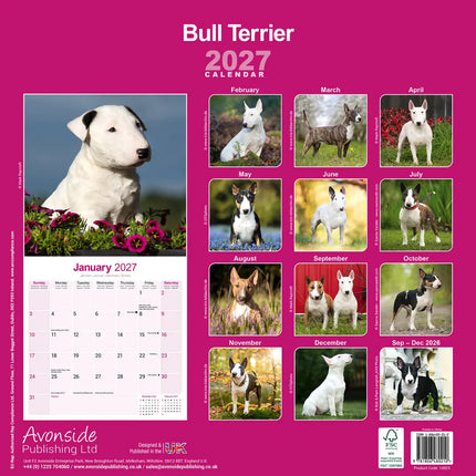 Avonside Bull Terrier Kalender 2027
