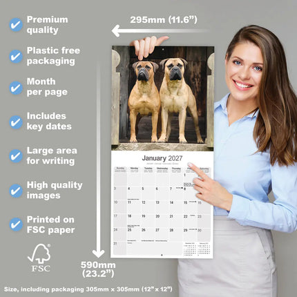 Avonside Bullmastiff Kalender 2027