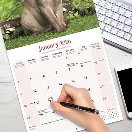 Avonside Burmees Kalender 2026