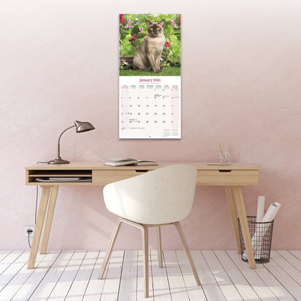 Avonside Burmees Kalender 2026