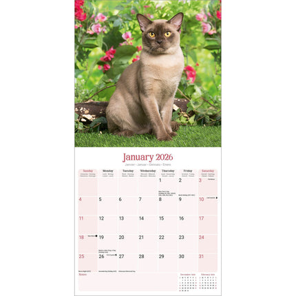 Avonside Burmees Kalender 2026