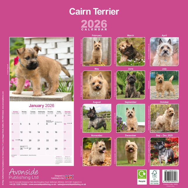 Avonside Cairn Terrier Kalender 2026