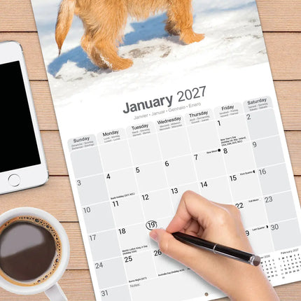 Avonside Cairn Terrier Kalender 2027