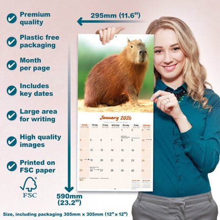 Avonside Capybara Kalender 2026