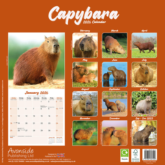 Avonside Capybara Kalender 2026