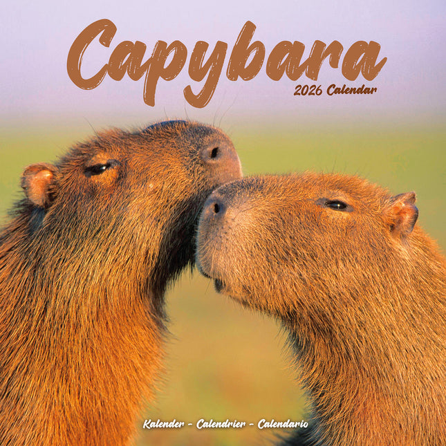 Avonside Capybara Kalender 2026