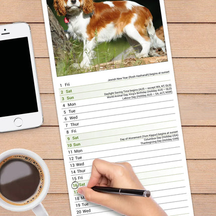 Avonside Cavalier King Charles Slimline Kalender 2027