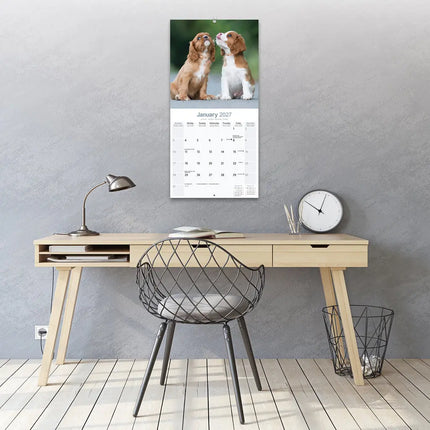 Avonside Cavalier King Charles Spaniel Kalender 2027