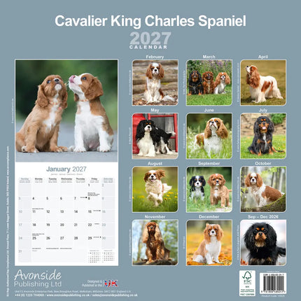 Avonside Cavalier King Charles Spaniel Kalender 2027