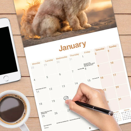 Avonside Cavapoo Kalender 2027