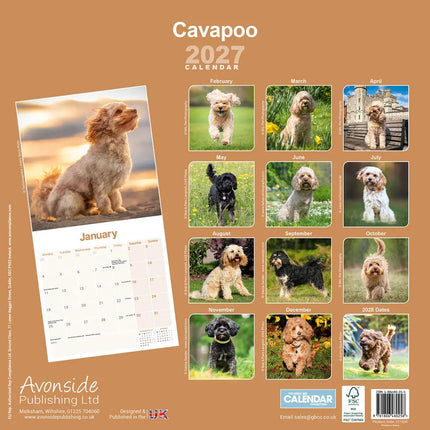 Avonside Cavapoo Kalender 2027