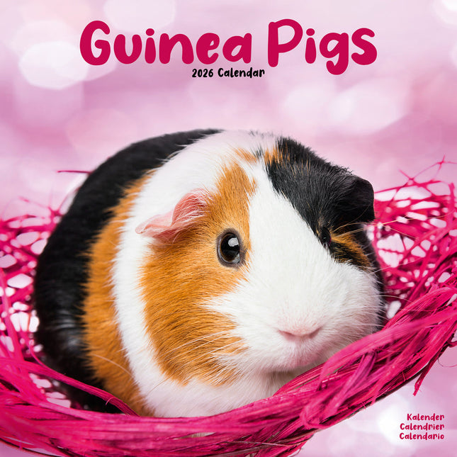 Avonside Cavia Kalender 2026