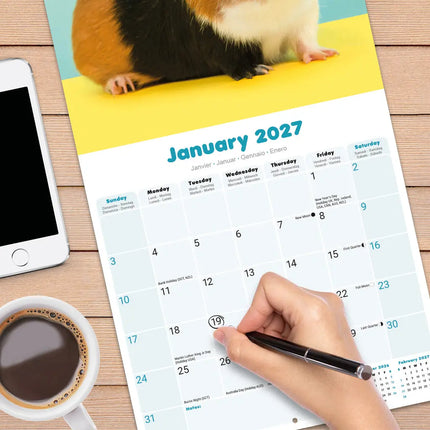 Avonside Cavia Kalender 2027