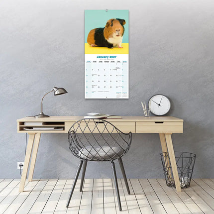 Avonside Cavia Kalender 2027
