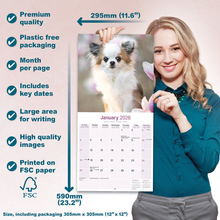 Avonside Chihuahua Kalender 2026