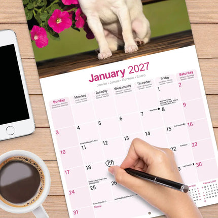 Avonside Chihuahua Kalender 2027