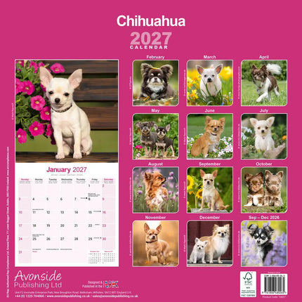 Avonside Chihuahua Kalender 2027