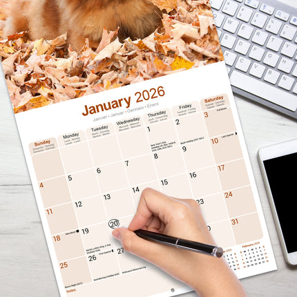 Avonside Chow Chow Kalender 2026