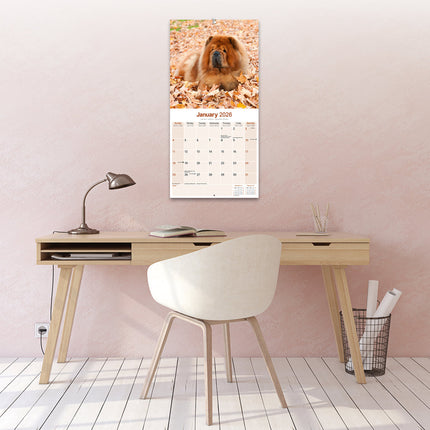 Avonside Chow Chow Kalender 2026