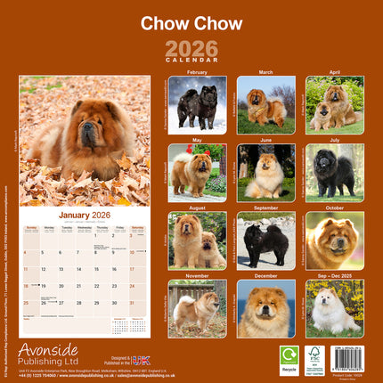 Avonside Chow Chow Kalender 2026