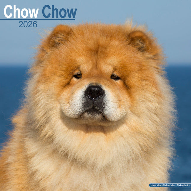 Avonside Chow Chow Kalender 2026