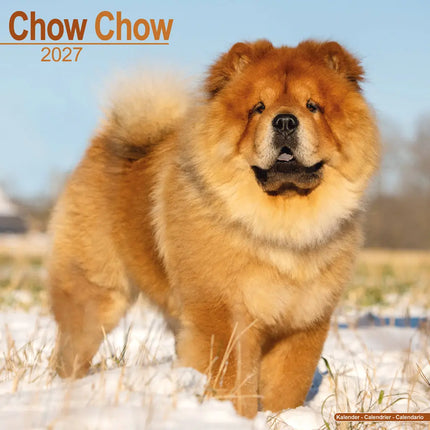 Avonside Chow Chow Kalender 2027