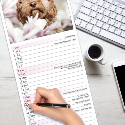 Avonside Cockapoo Kalender 2026 Slimline