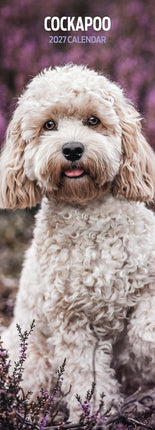 Avonside Cockapoo Kalender 2026 Slimline