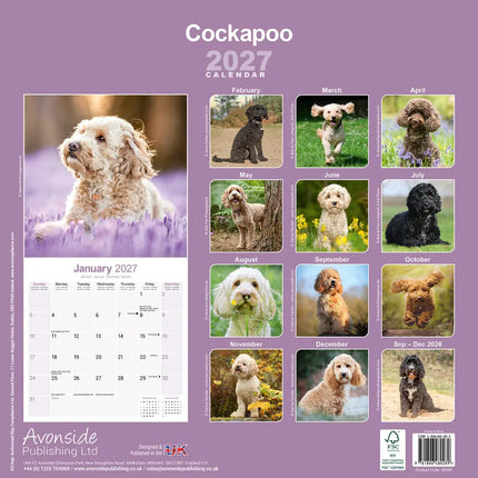 Avonside Cockapoo Kalender 2027
