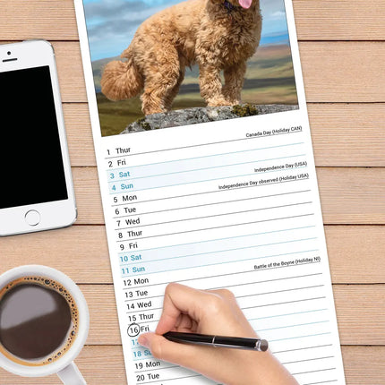Avonside Cockapoo Kalender 2027 Slimline