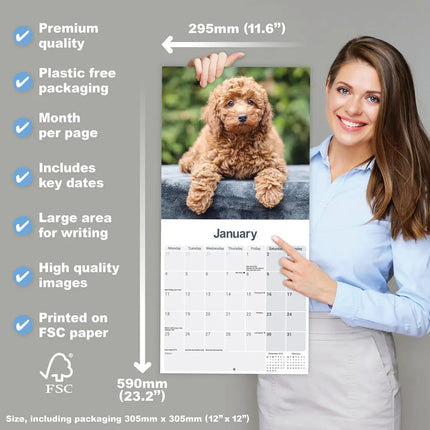 Avonside Cockapoo Puppies Kalender 2027