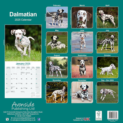 Avonside Dalmatier Kalender 2025