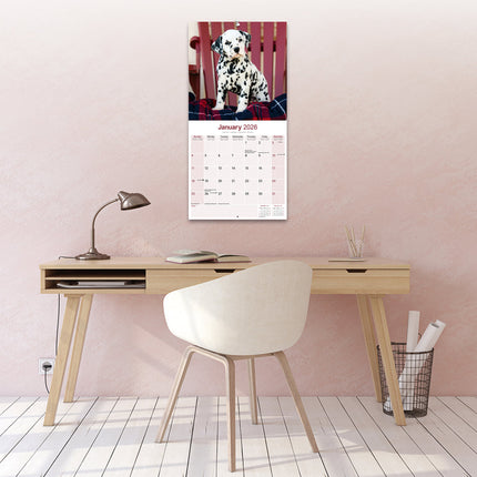 Avonside Dalmatier Kalender 2027
