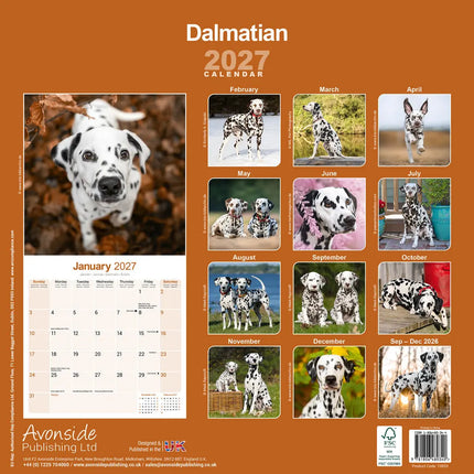 Avonside Dalmatier Kalender 2027